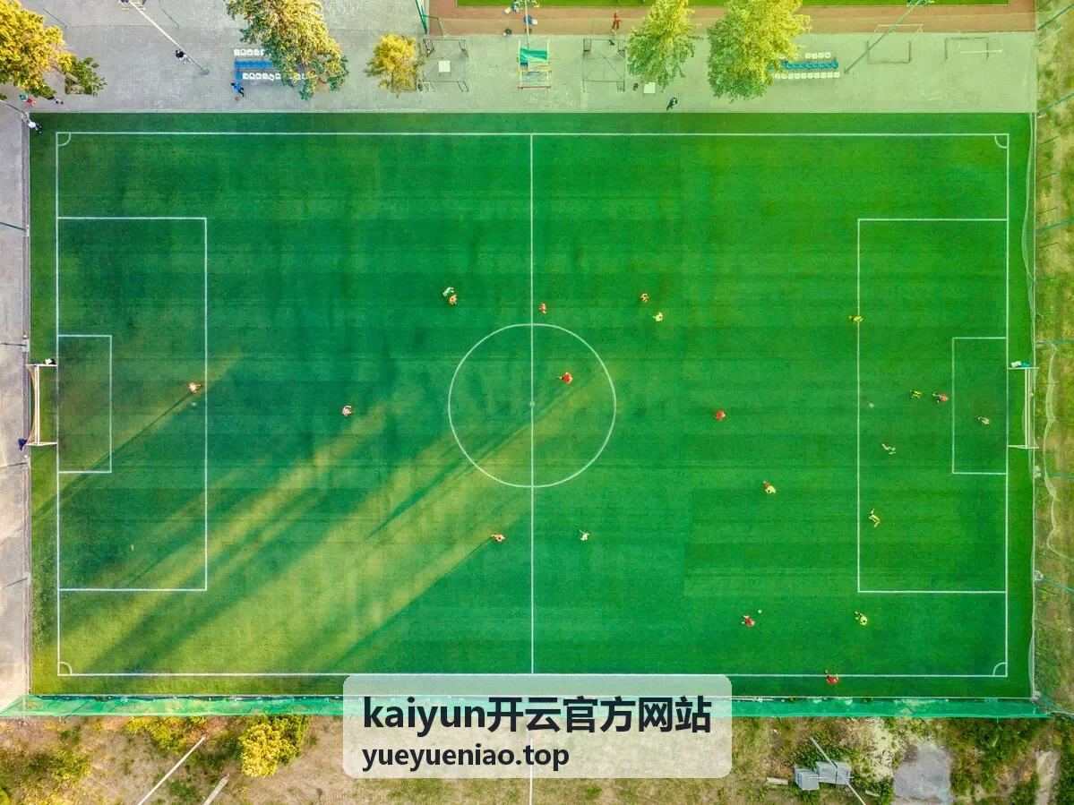 kaiyun开云官方网站使用指南第六步更新检查与数据备份
