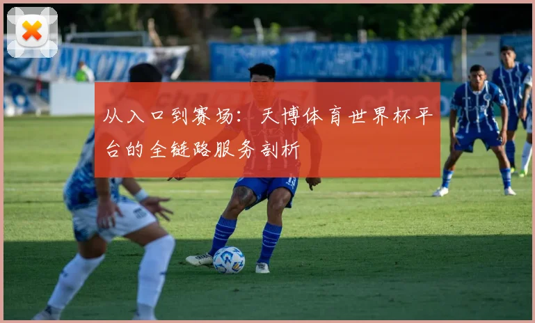 从入口到赛场：天博体育世界杯平台的全链路服务剖析