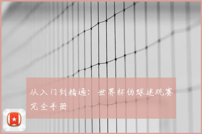 从入门到精通：世界杯伪球迷观赛完全手册