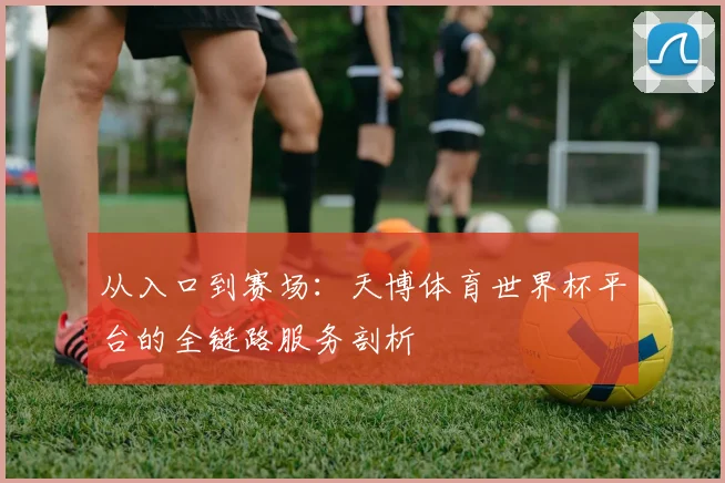 从入口到赛场：天博体育世界杯平台的全链路服务剖析