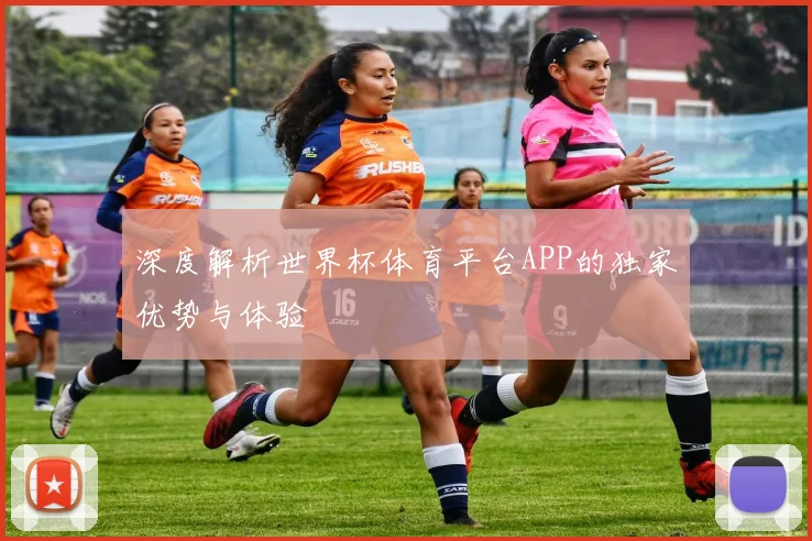 深度解析世界杯体育平台APP的独家优势与体验